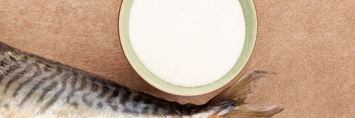 What Is the Difference Between Marine Collagen and Bovine Collagen?